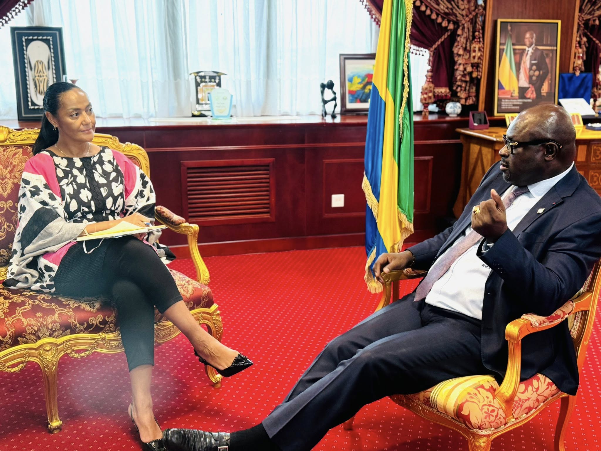 Gabon / Droit des enfants : le plaidoyer du Dr Marie Reine Fabry à l’Assemblée nationale